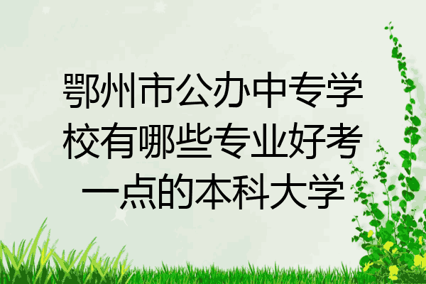 鄂州市公办中专学校有哪些专业好考一点的本科大学