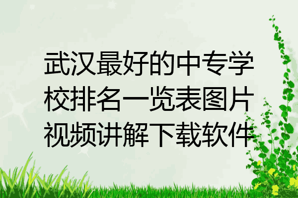 武汉最好的中专学校排名一览表图片视频讲解下载软件