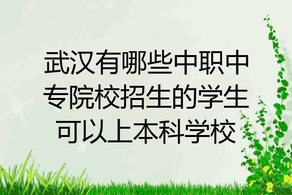 武汉有哪些中职中专院校招生的学生可以上本科学校