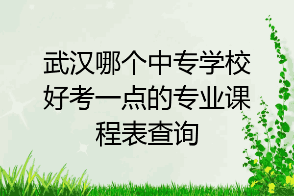 武汉哪个中专学校好考一点的专业课程表查询
