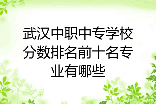 武汉中职中专学校分数排名前十名专业有哪些