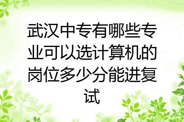 武汉中专有哪些专业可以选计算机的岗位多少分能进复试