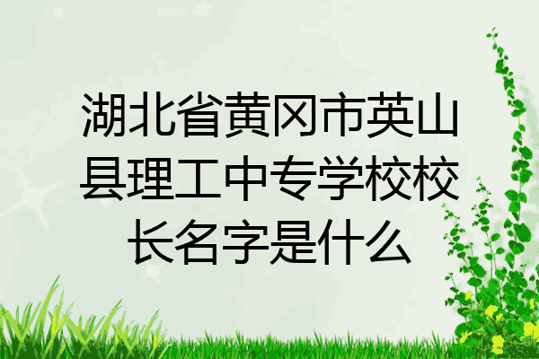 湖北省黄冈市英山县理工中专学校校长名字是什么