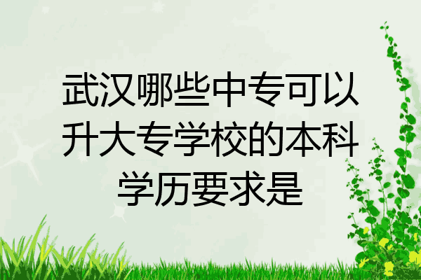 武汉哪些中专可以升大专学校的本科学历要求是