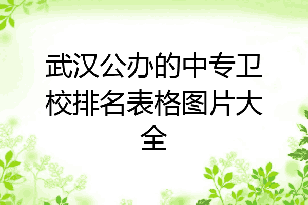 武汉公办的中专卫校排名表格图片大全