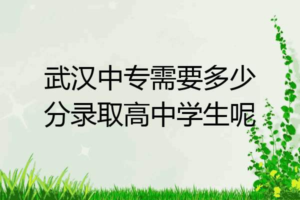 武汉中专需要多少分录取高中学生呢