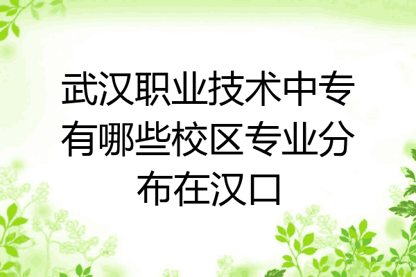 武汉职业技术中专有哪些校区专业分布在汉口