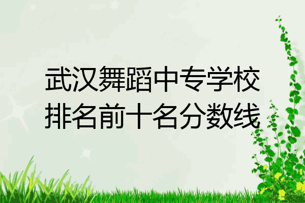武汉舞蹈中专学校排名前十名分数线
