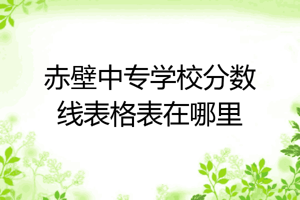赤壁中专学校分数线表格表在哪里