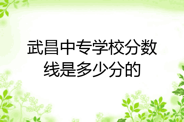 武昌中专学校分数线是多少分的