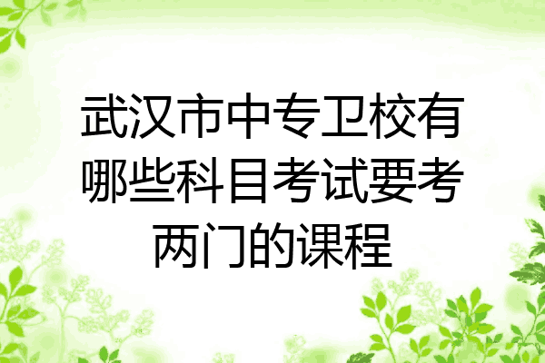 武汉市中专卫校有哪些科目考试要考两门的课程