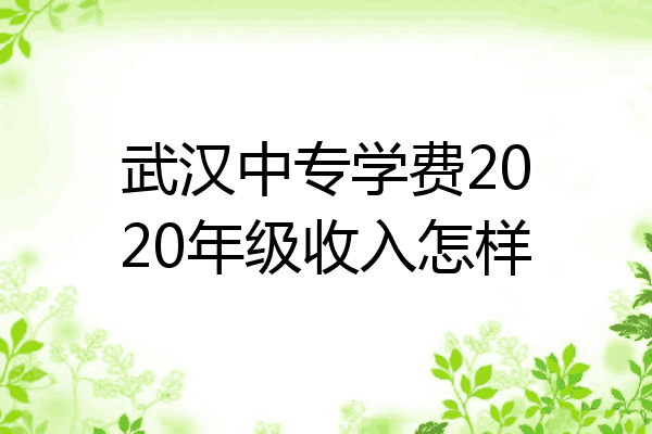 武汉中专学费2020年级收入怎样