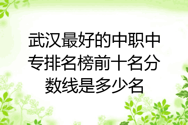 武汉最好的中职中专排名榜前十名分数线是多少名