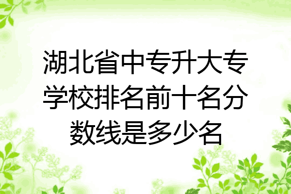 湖北省中专升大专学校排名前十名分数线是多少名