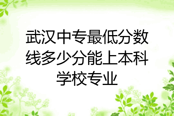 武汉中专最低分数线多少分能上本科学校专业