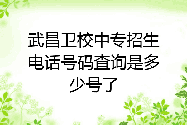武昌卫校中专招生电话号码查询是多少号了