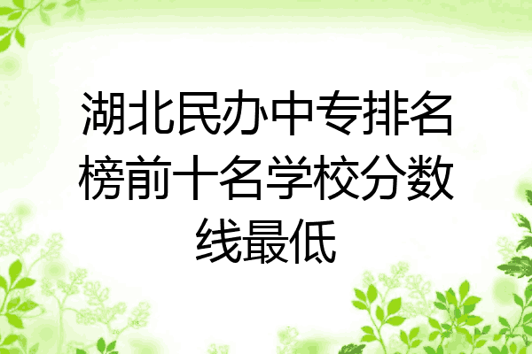 湖北民办中专排名榜前十名学校分数线最低