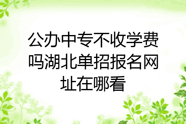 公办中专不收学费吗湖北单招报名网址在哪看