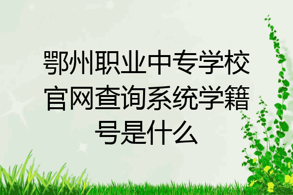 鄂州职业中专学校官网查询系统学籍号是什么