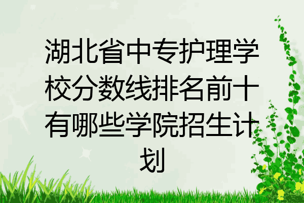 湖北省中专护理学校分数线排名前十有哪些学院招生计划