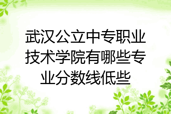 武汉公立中专职业技术学院有哪些专业分数线低些