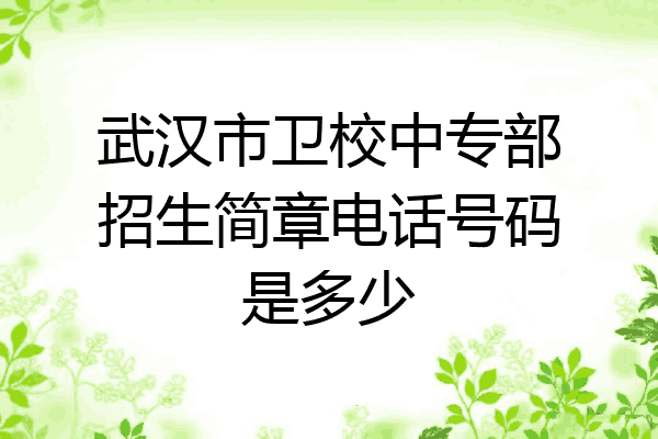 武汉市卫校中专部招生简章电话号码是多少
