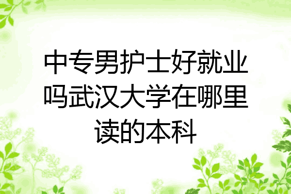 中专男护士好就业吗武汉大学在哪里读的本科