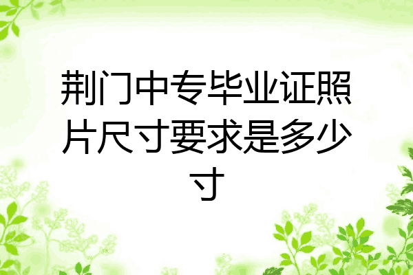 荆门中专毕业证照片尺寸要求是多少寸