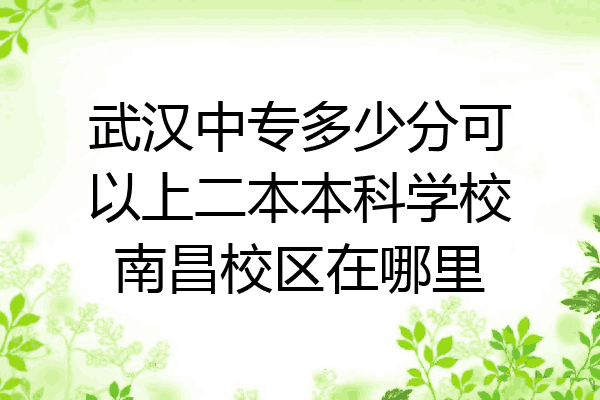 武汉中专多少分可以上二本本科学校南昌校区在哪里