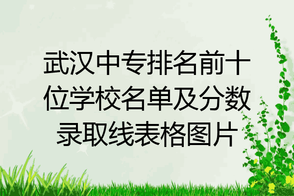 武汉中专排名前十位学校名单及分数录取线表格图片