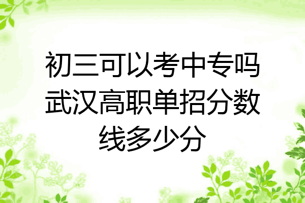 初三可以考中专吗武汉高职单招分数线多少分