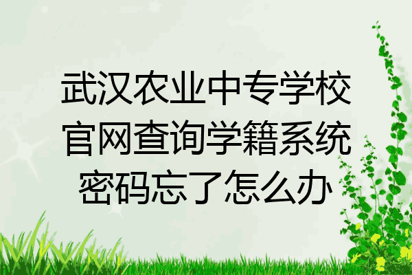 武汉农业中专学校官网查询学籍系统密码忘了怎么办