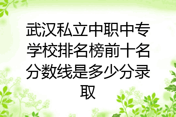 武汉私立中职中专学校排名榜前十名分数线是多少分录取