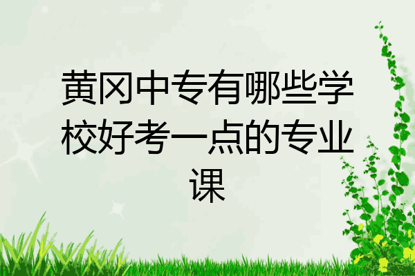 黄冈中专有哪些学校好考一点的专业课