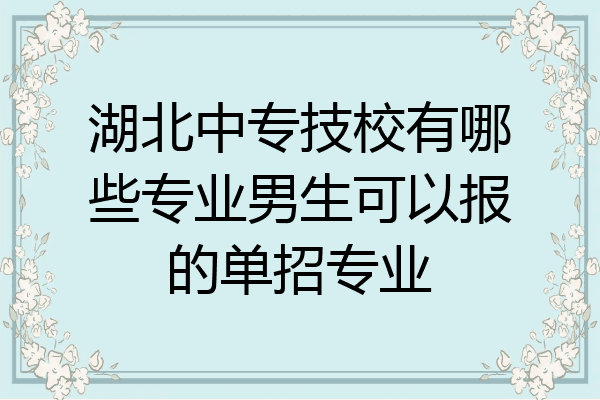 湖北中专技校有哪些专业男生可以报的单招专业