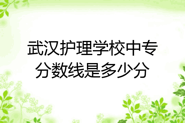 武汉护理学校中专分数线是多少分