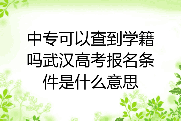 中专可以查到学籍吗武汉高考报名条件是什么意思
