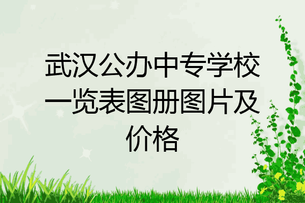 武汉公办中专学校一览表图册图片及价格