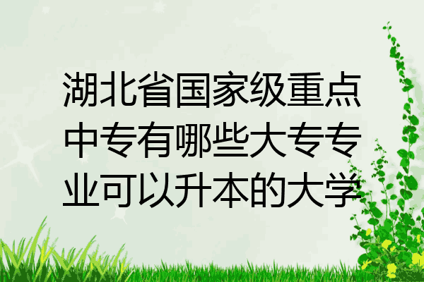 湖北省国家级重点中专有哪些大专专业可以升本的大学