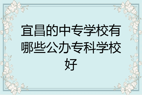 宜昌的中专学校有哪些公办专科学校好