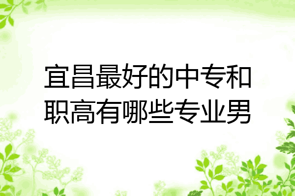 宜昌最好的中专和职高有哪些专业男
