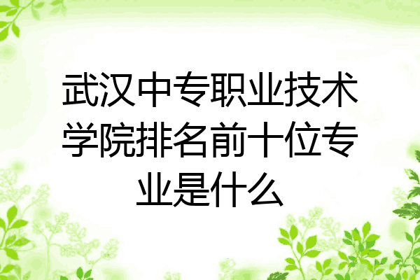 武汉中专职业技术学院排名前十位专业是什么