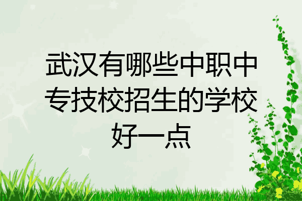 武汉有哪些中职中专技校招生的学校好一点