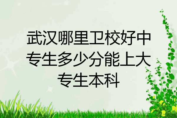 武汉哪里卫校好中专生多少分能上大专生本科