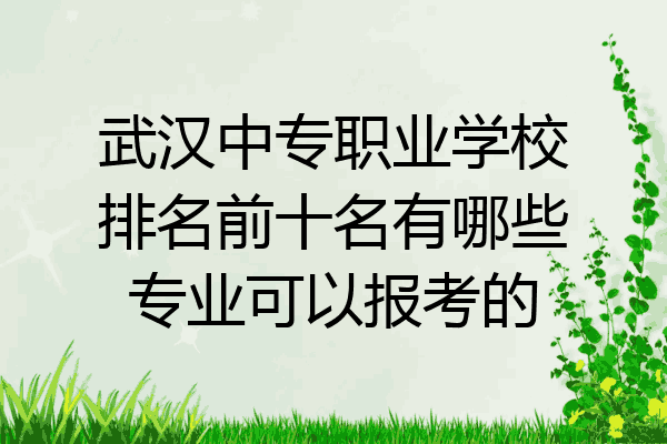 武汉中专职业学校排名前十名有哪些专业可以报考的
