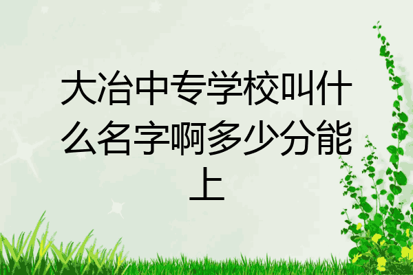 大冶中专学校叫什么名字啊多少分能上