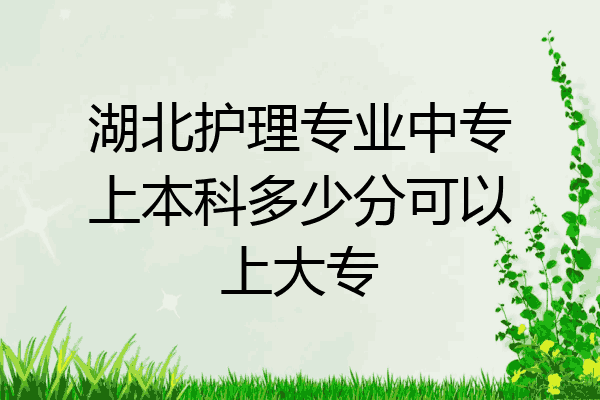 湖北护理专业中专上本科多少分可以上大专