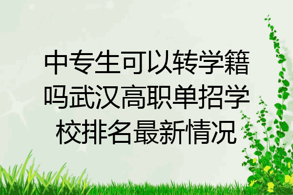 中专生可以转学籍吗武汉高职单招学校排名最新情况
