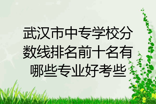 武汉市中专学校分数线排名前十名有哪些专业好考些