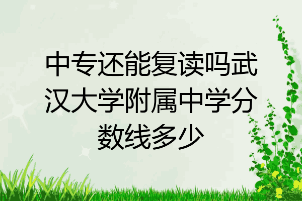 中专还能复读吗武汉大学附属中学分数线多少